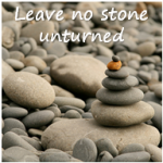 Leave no stone unturned to grow your business