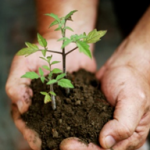 Cultivate alliance referrals