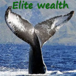 Finding and servicing elite wealth
